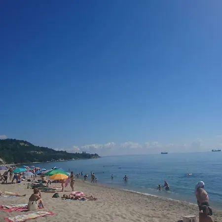 Forest House Varna