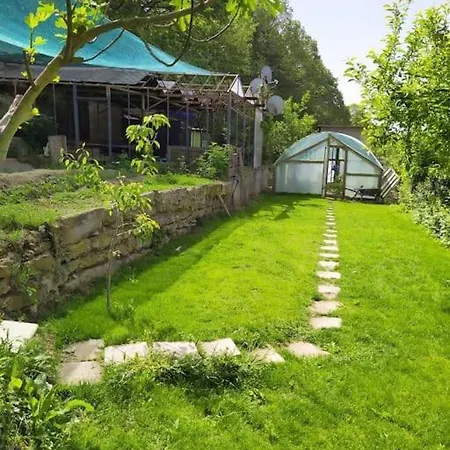 Forest House *