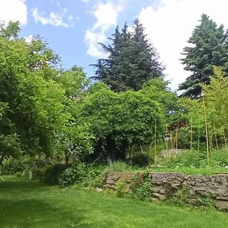 Forest House Holiday home