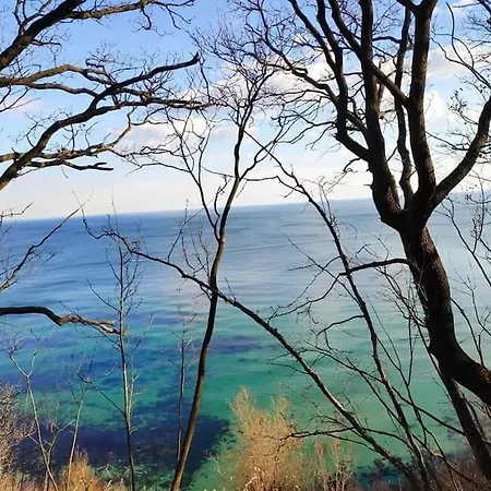 Holiday home Forest House Varna